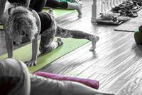 Yogaholic.TeacherTraining.EastCoastKali.2017-2615