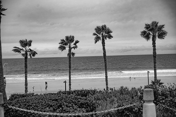 Oceanside.CALIFORNIA.EastCoastKaliMon.2020_66