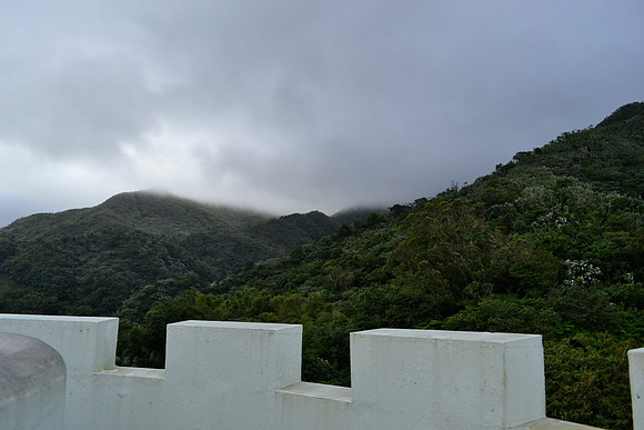 _DSC0915