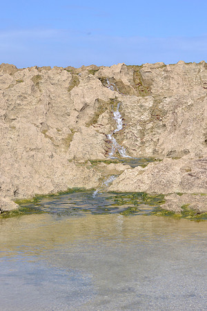 _DSC0078