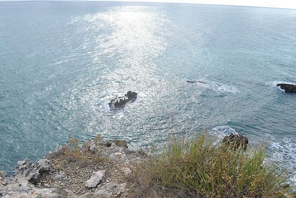 _DSC0279