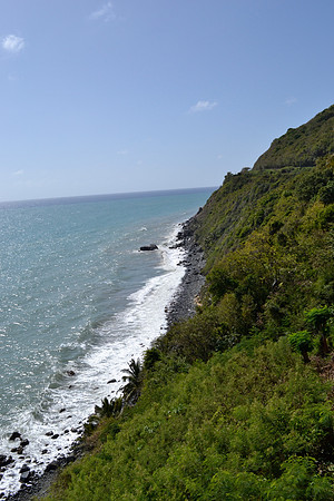 _DSC0264
