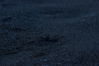 _DSC0018_3