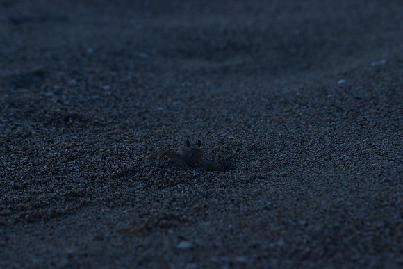 _DSC0018_3