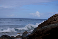 _DSC0005