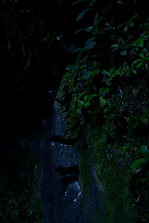_DSC0266_3