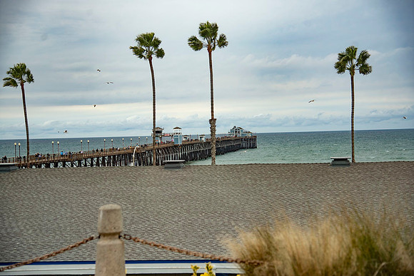 Oceanside.CALIFORNIA.EastCoastKaliMon.2020_61