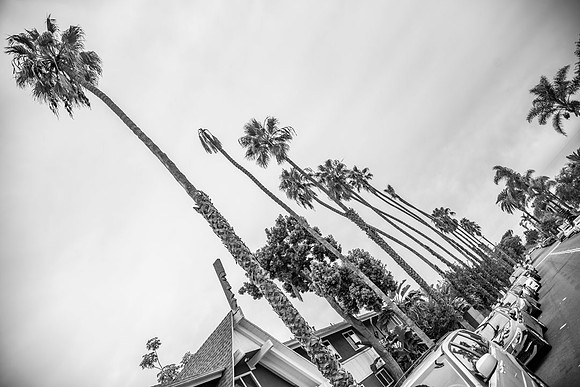 Oceanside.CALIFORNIA.EastCoastKaliMon.2020_41