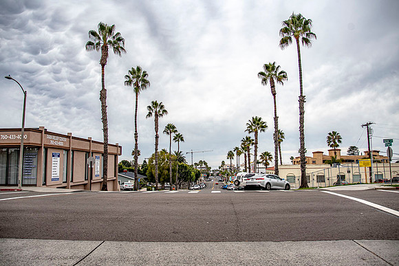 Oceanside.CALIFORNIA.EastCoastKaliMon.2020_37