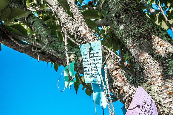 HamptonYogaFest.PrayerTree.DLM.2016-2193