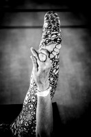 HamptonYogaFest.FeetofFestivals.DLM.2016-0024