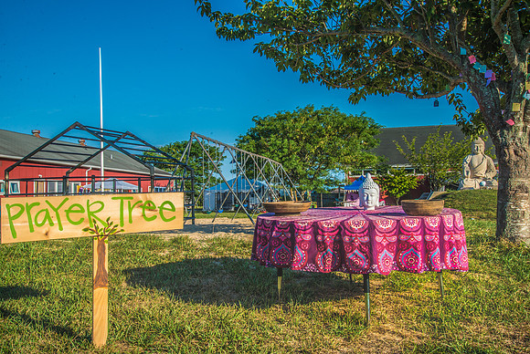 HamptonYogaFest.PrayerTree.DLM.2016-2202