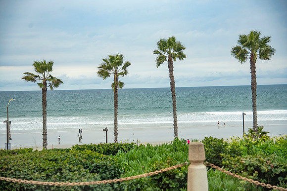 Oceanside.CALIFORNIA.EastCoastKaliMon.2020_65