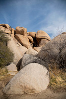 JoshuaTree.CALIFORNIA.EastCoastKaliMon.2020_1
