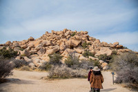 JoshuaTree.CALIFORNIA.EastCoastKaliMon.2020_2