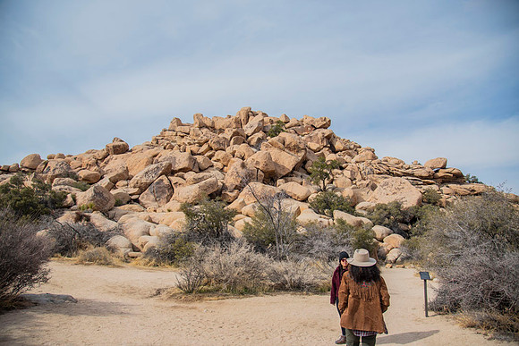 JoshuaTree.CALIFORNIA.EastCoastKaliMon.2020_2