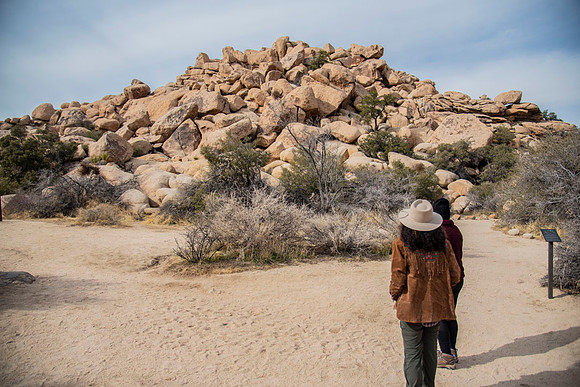 JoshuaTree.CALIFORNIA.EastCoastKaliMon.2020_4