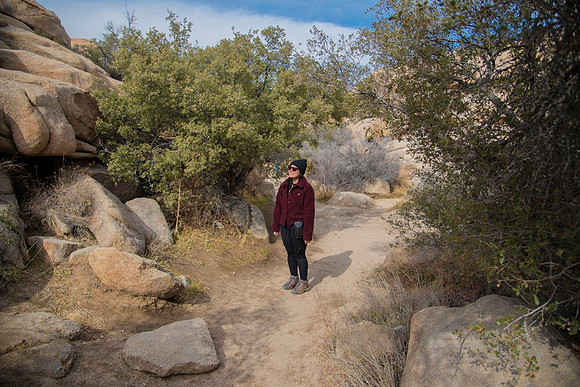 JoshuaTree.CALIFORNIA.EastCoastKaliMon.2020_8