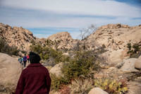 JoshuaTree.CALIFORNIA.EastCoastKaliMon.2020_9