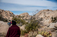 JoshuaTree.CALIFORNIA.EastCoastKaliMon.2020_10