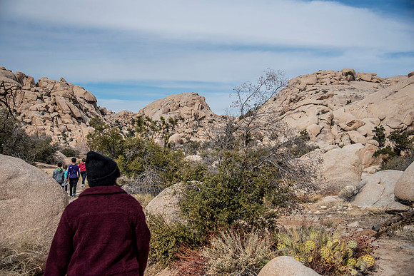 JoshuaTree.CALIFORNIA.EastCoastKaliMon.2020_10