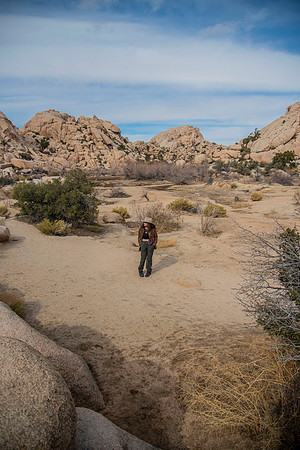 JoshuaTree.CALIFORNIA.EastCoastKaliMon.2020_14