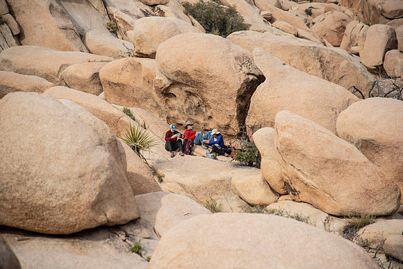 JoshuaTree.CALIFORNIA.EastCoastKaliMon.2020_23