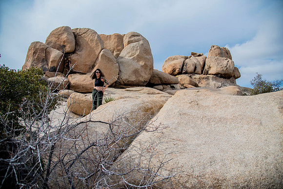 JoshuaTree.CALIFORNIA.EastCoastKaliMon.2020_38