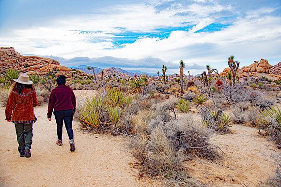 JoshuaTreeShoot.CALIFORNIA.EastCoastKaliMon.2020_118