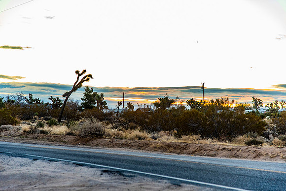 Road.CALIFORNIA.EastCoastKaliMon.2020_5
