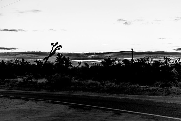 Road.CALIFORNIA.EastCoastKaliMon.2020_7