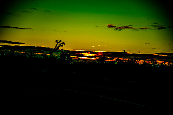 Road.CALIFORNIA.EastCoastKaliMon.2020_8