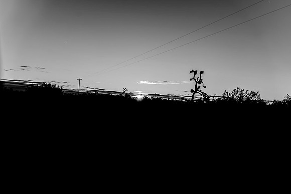 Road.CALIFORNIA.EastCoastKaliMon.2020_13