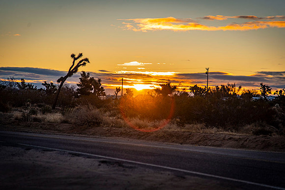 Road.CALIFORNIA.EastCoastKaliMon.2020_14