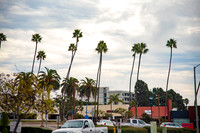 Oceanside.CALIFORNIA.EastCoastKaliMon.2020_1
