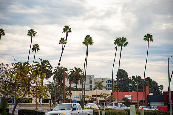 Oceanside.CALIFORNIA.EastCoastKaliMon.2020_1