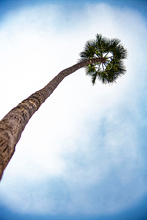 Oceanside.CALIFORNIA.EastCoastKaliMon.2020_25